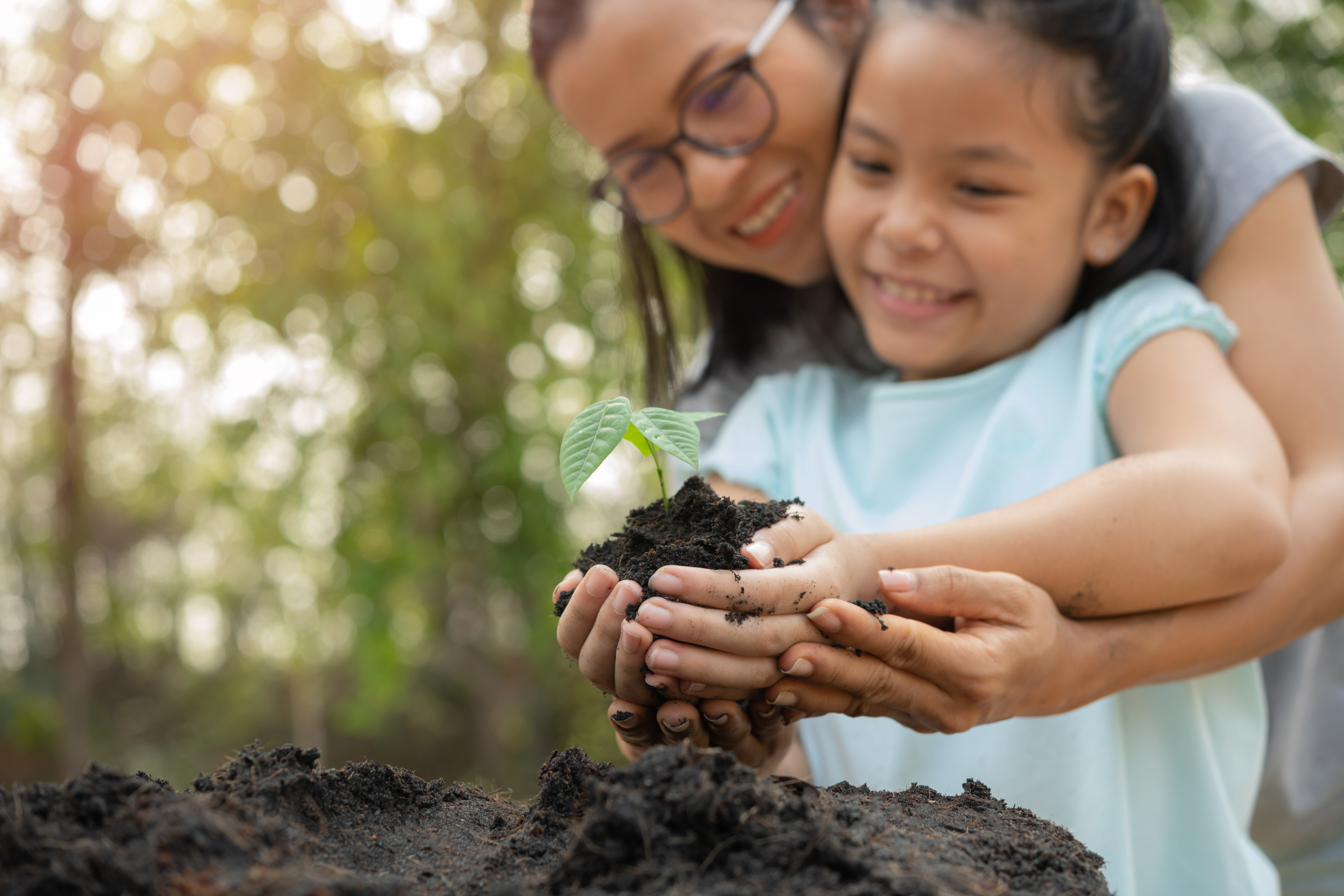 Sustainability banner